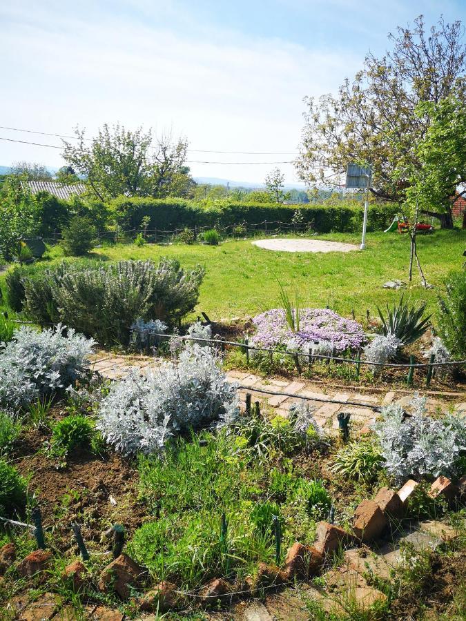 Apartman Snezana Jugovo Semendria Exterior foto